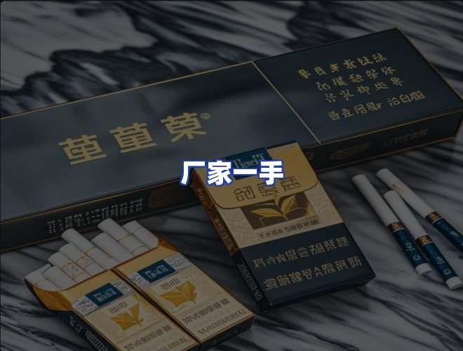 专业团队